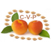 Vitamin C with Bioflavonoids Flat Pot (90)
